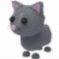 profile_Cat