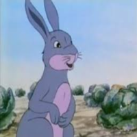 Rabbit тип личности MBTI image