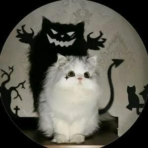 Troublemaker MBTI性格类型 image