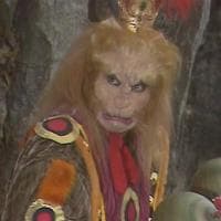 profile_The Tawny Lion Demon (黃狮精)