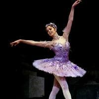 profile_Lilac Fairy