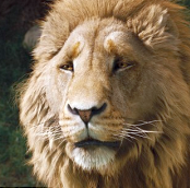 Aslan MBTI Personality Type image