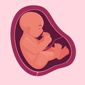 profile_Fetus