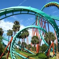 Kumba (roller coaster) MBTI Personality Type image
