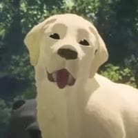 profile_The Dog