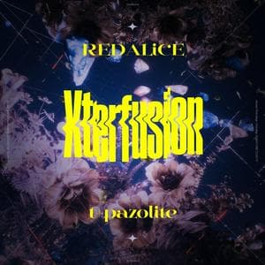 profile_REDALiCE/t+pazolite - Xterfusion