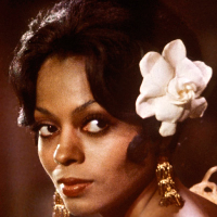 Diana Ross tipo de personalidade mbti image