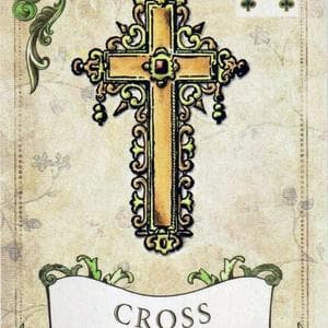 profile_Cross - XXXVI