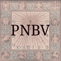 PNBV (The Rescuer) MBTI Personality Type image