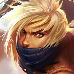 profile_Elmir