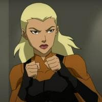 Artemis Crock “Tigress” tipo de personalidade mbti image