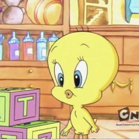 profile_Baby Tweety Bird