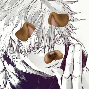 profile_zirco