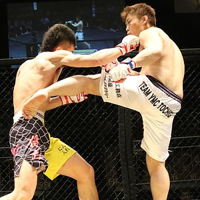 profile_MMA