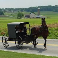 profile_Amish