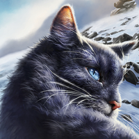 Crowfeather MBTI性格类型 image