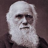 Charles Darwin type de personnalité MBTI image