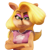 profile_Tawna Bandicoot