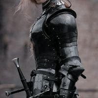 Tail 12-19-7 "Warrior" MBTI Personality Type image