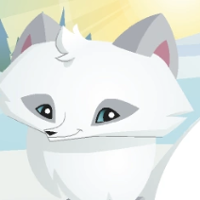 profile_Arctic Fox