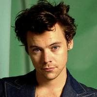 Harry Styles тип личности MBTI image