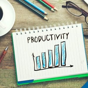 Productive (XNXP) MBTI Personality Type image