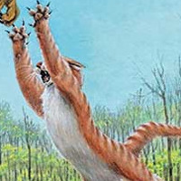 Speckletail MBTI Personality Type image