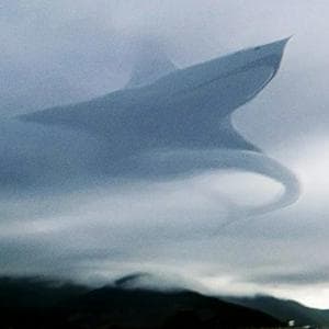 Aircraft shark MBTI Personality Type image
