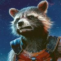 Rocket Raccoon mbti kişilik türü image