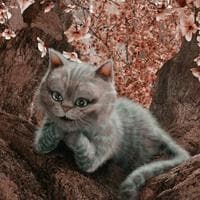 Cheshire Cat тип личности MBTI image