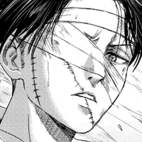 profile_Levi Ackermаn