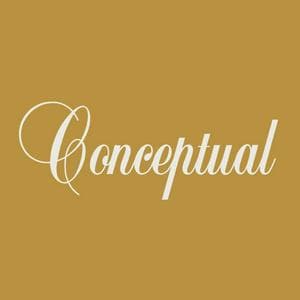profile_Conceptual