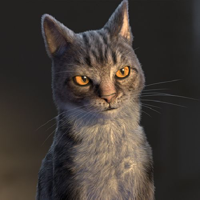 profile_The Cat