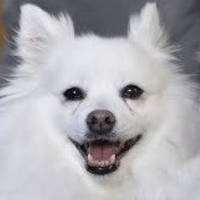 Klondike MBTI Personality Type image