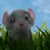 profile_Cheese
