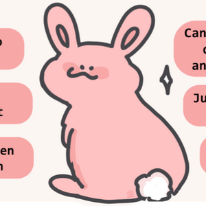 profile_Bunny