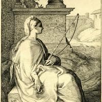 profile_Diligence