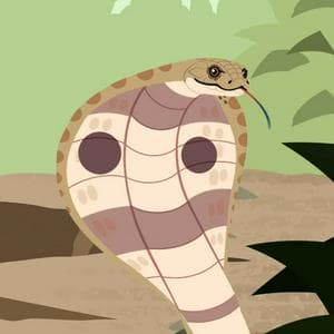 Hoodie MBTI Personality Type image