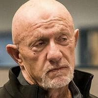 Mike Ehrmantraut mbtiパーソナリティタイプ image