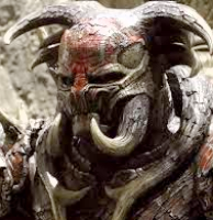 profile_Algrim / Kurse