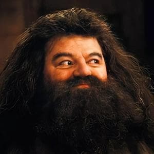 profile_Rubeus Hagrid