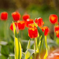 April MBTI Personality Type image