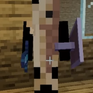 The_CodMaster14 MBTI Personality Type image