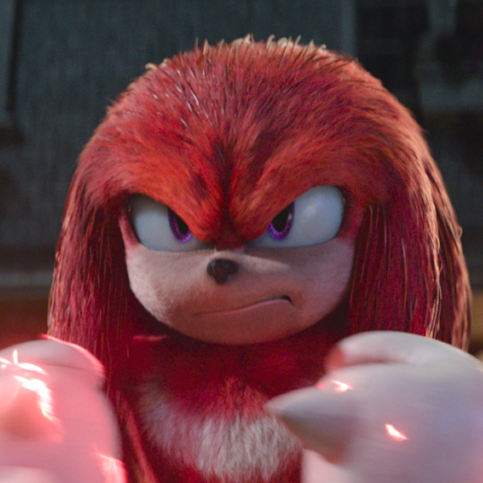 profile_Knuckles the Echidna