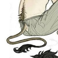 profile_Cardan's Tail