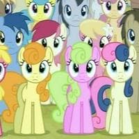 profile_Earth Ponies