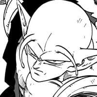 profile_Piccolo Jr (Universe 18)