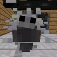 profile_Silvester