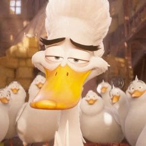 profile_Malard Duck Leader
