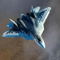 profile_Sukhoi SU-57 "Felon"